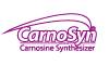 Logotipo Carnosym