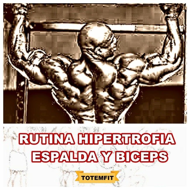 rutina hipertrofia espalda y biceps